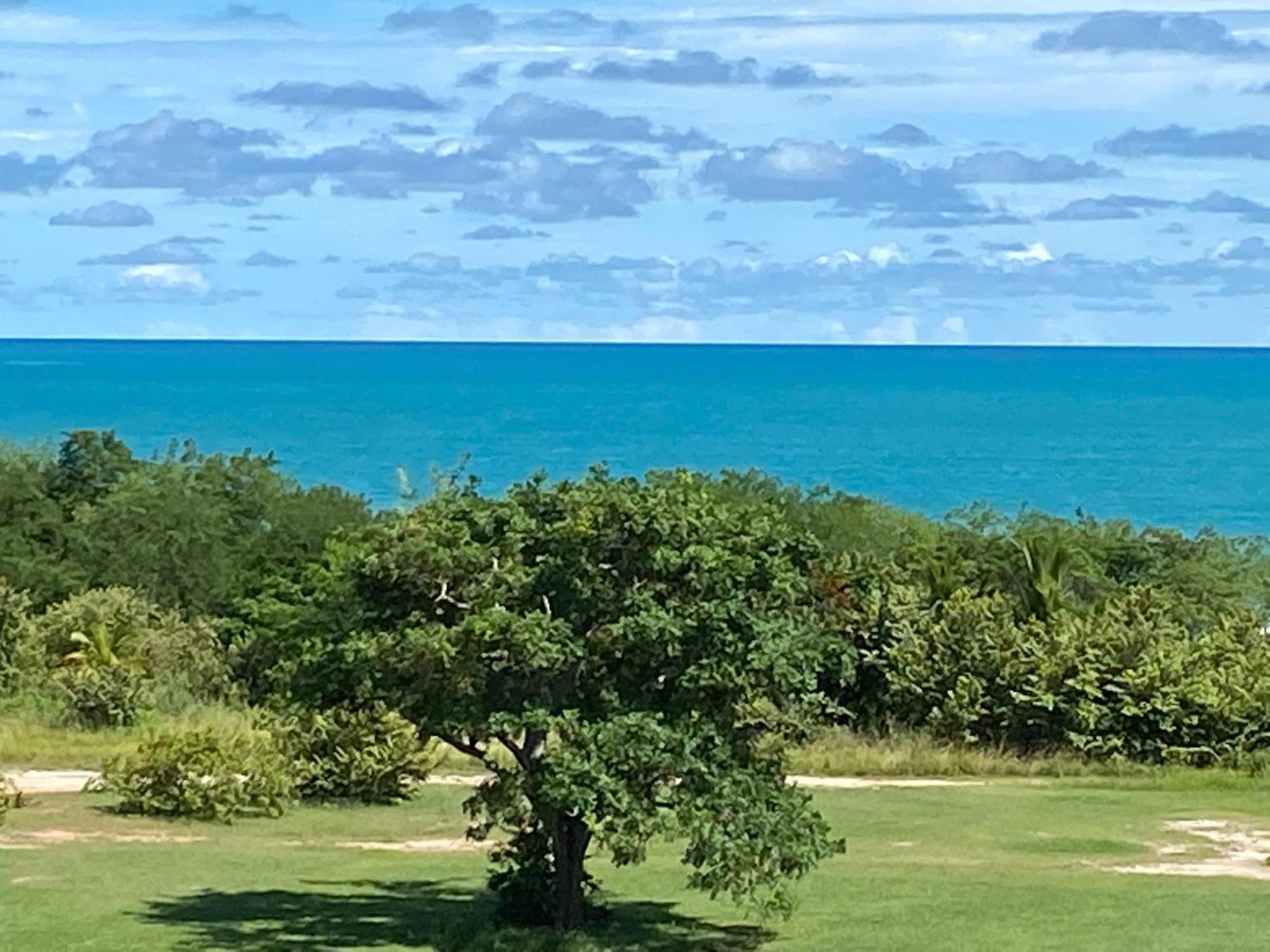 Playablanca Ocean Blue 
